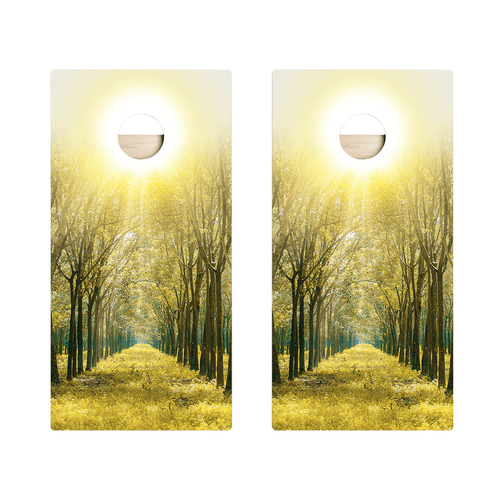 Forest Sunset Star Cornhole Boards - ACA - 000041 | American Cornhole Association