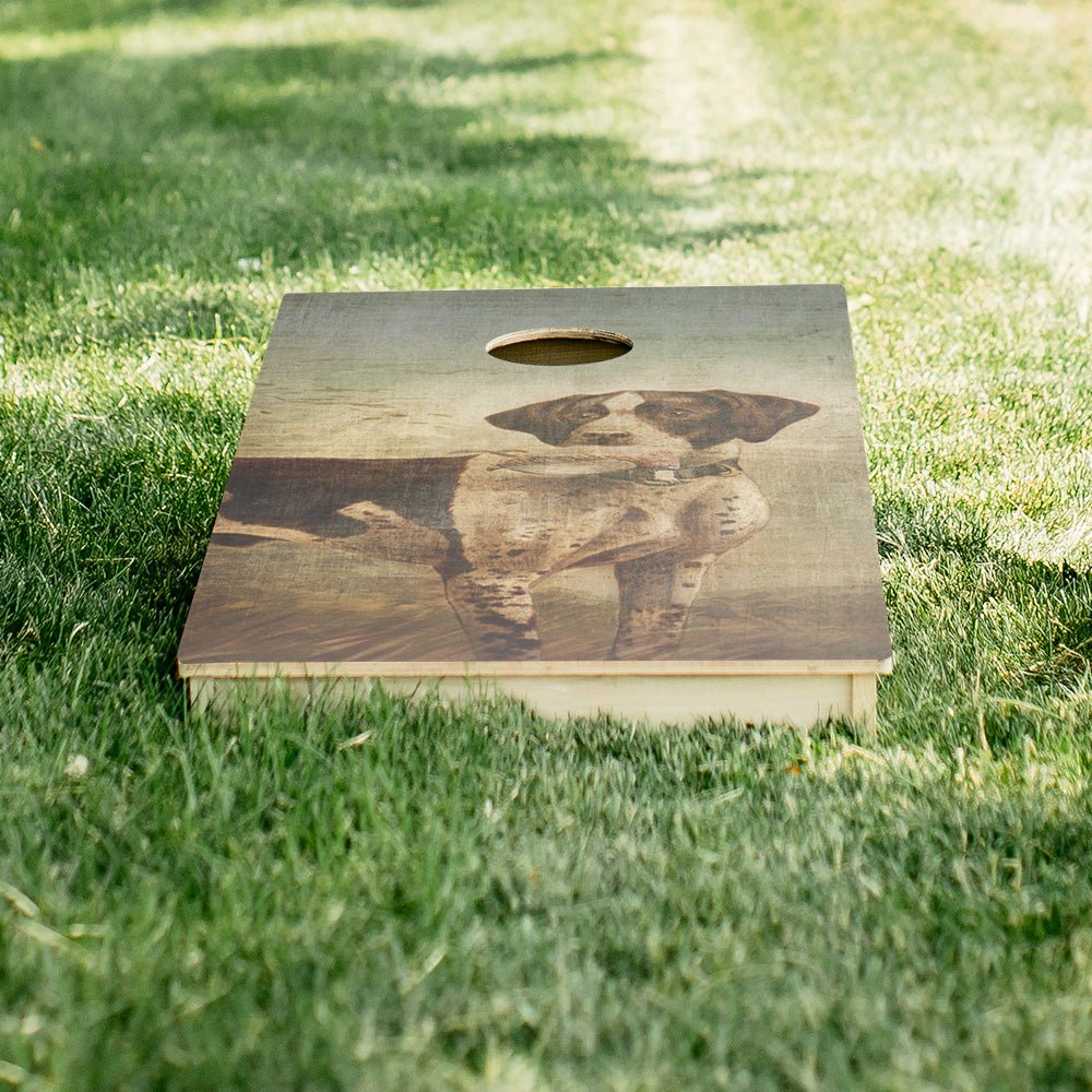 Hunting Dog Star Cornhole Boards, - American Cornhole Association