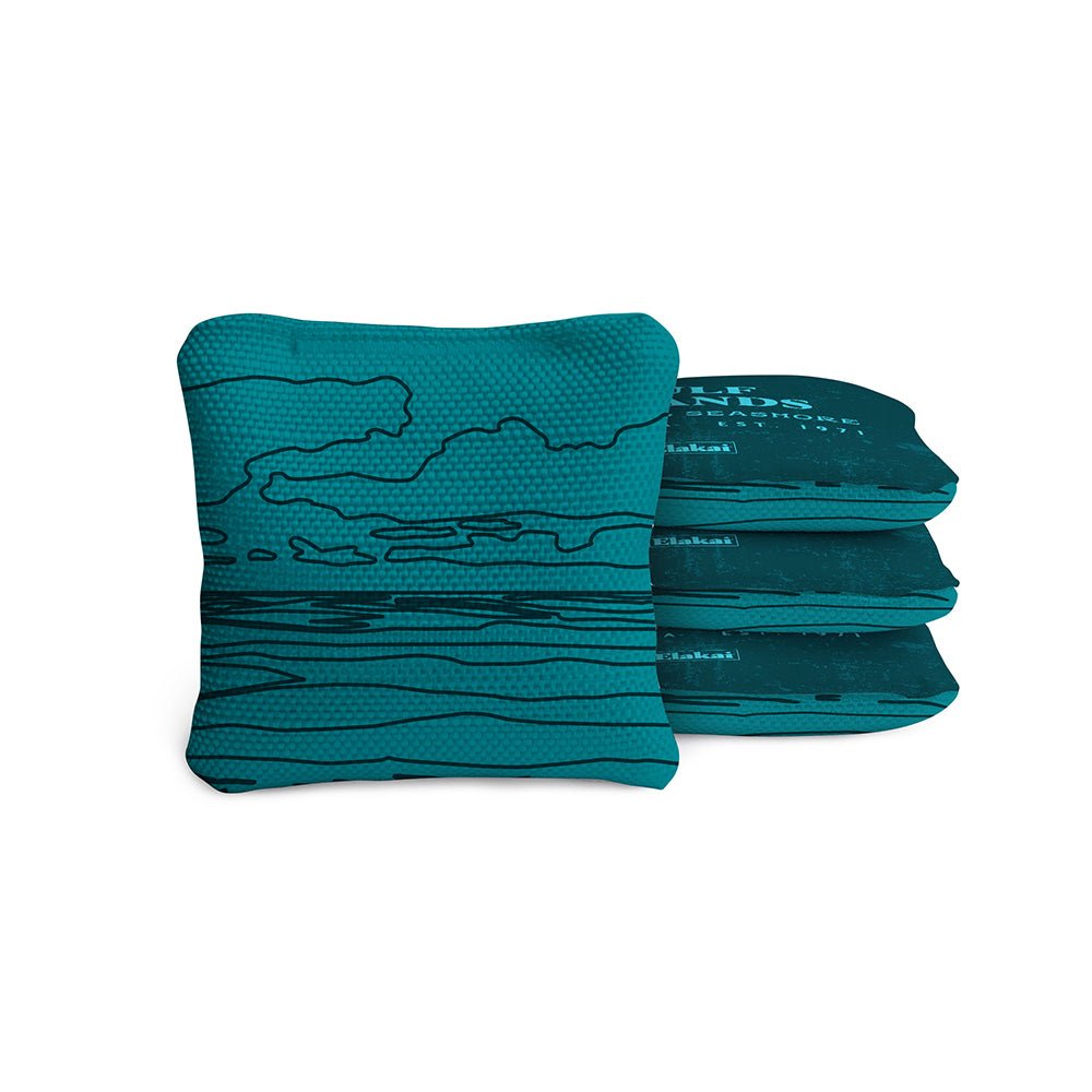 National Parks Gulf Islands Shore Travel - Size Cornhole Bags, Teal - American Cornhole Association
